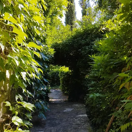 Mas De La Petite Occitane - Cevennes Sud Holiday home *