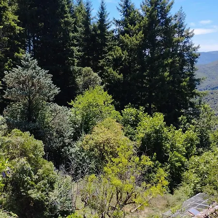 Mas De La Petite Occitane - Cevennes Sud *
